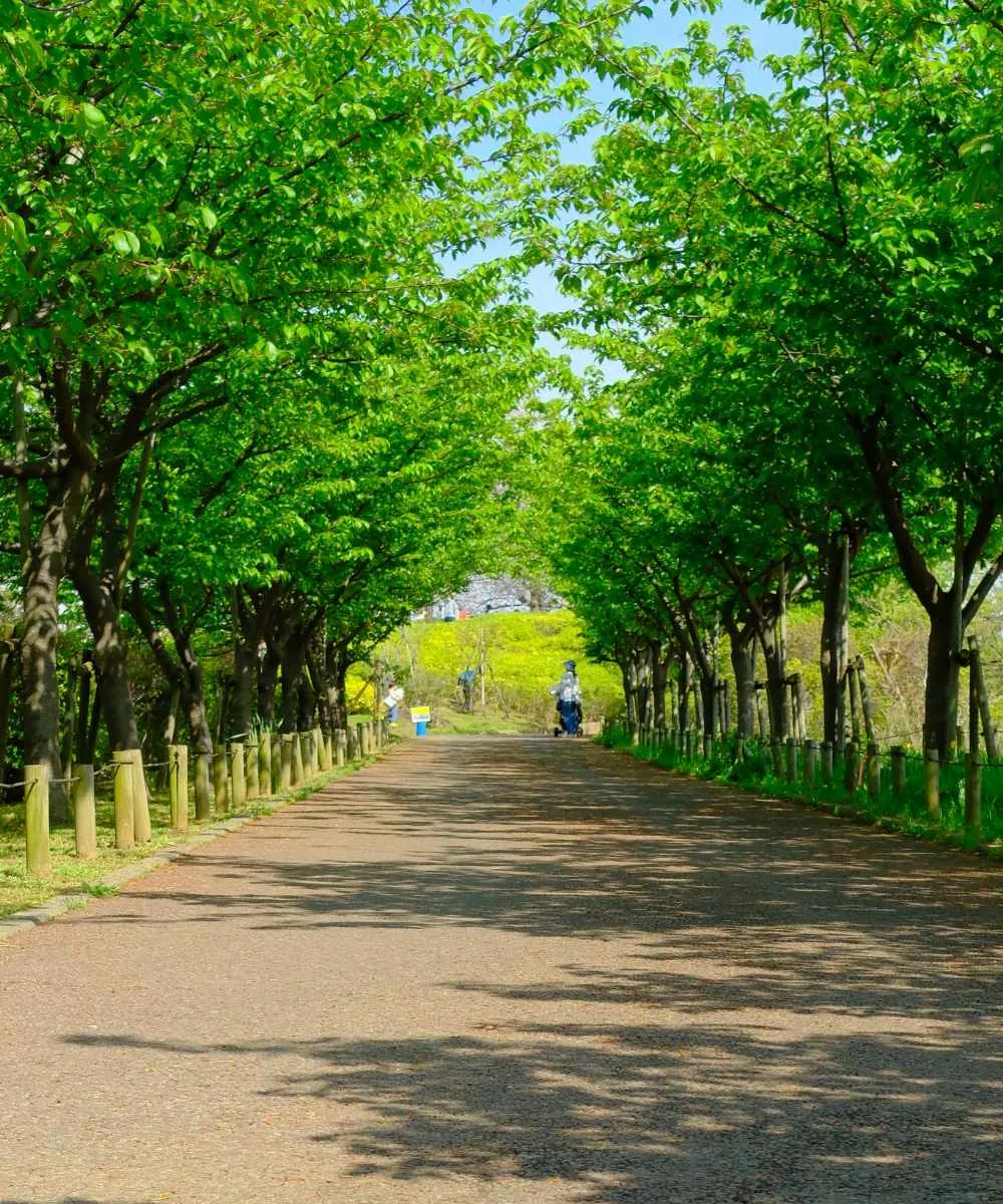 Edogawa Digital & Culture Works 5